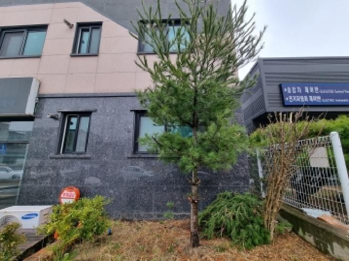 동구 낭월동 847 단독주택다가구 경매 물건 사진