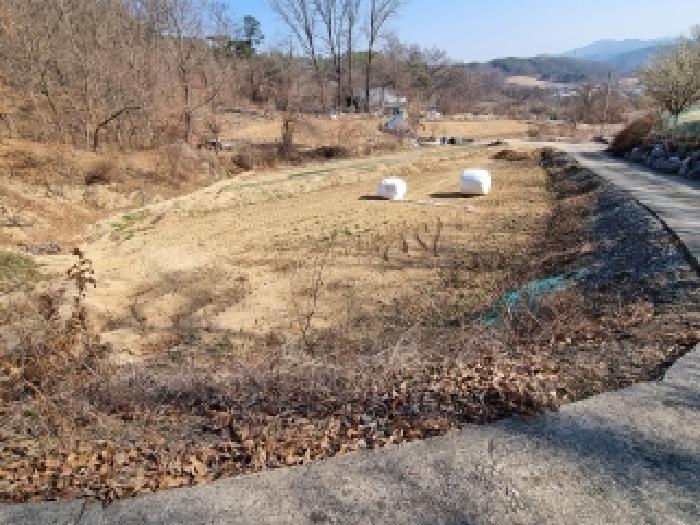 금산군 군북면 호티리 답 경매 물건 사진