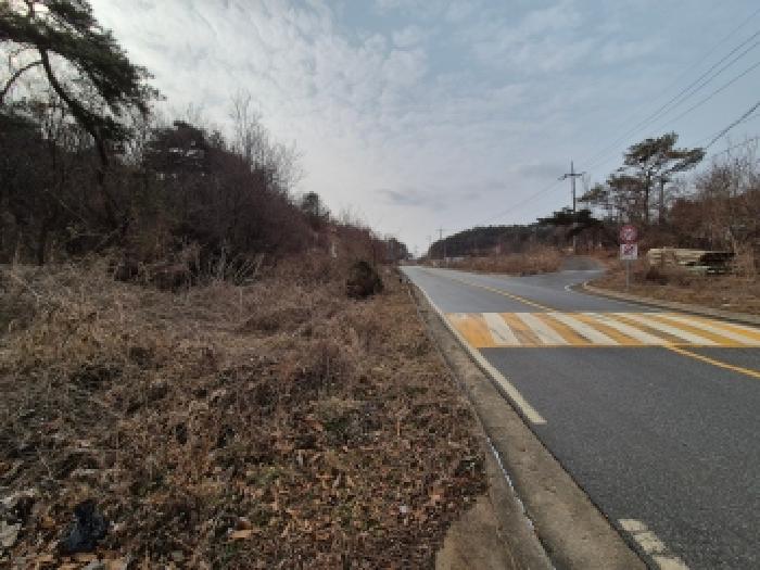 금남면 원봉리 399-16 전답 경매 물건 사진