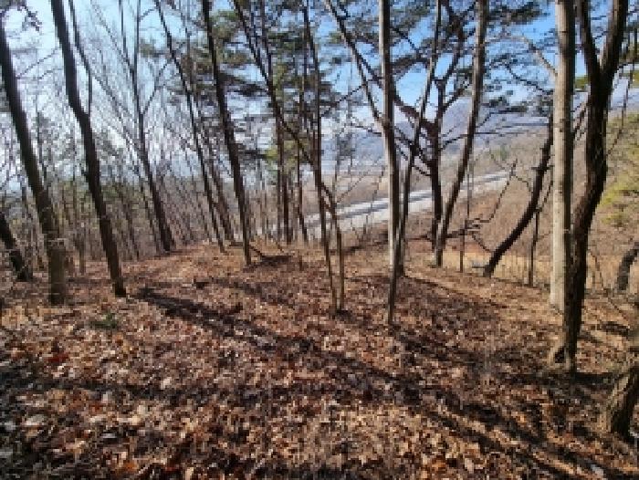 금산군 금산읍 하옥리 임야 경매 물건 사진