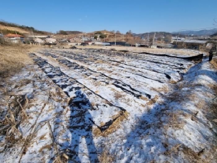 금산군 남일면 황풍리 답 경매 물건 사진