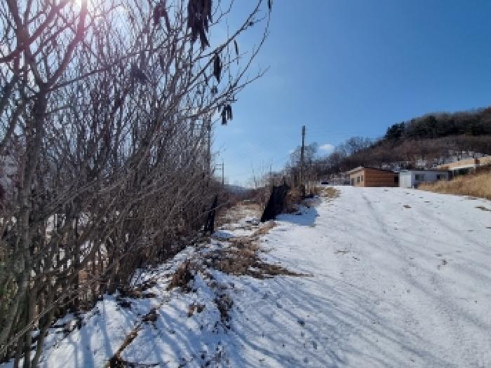 동구 삼정동 410-4 대지,임야,전답 경매 물건 사진
