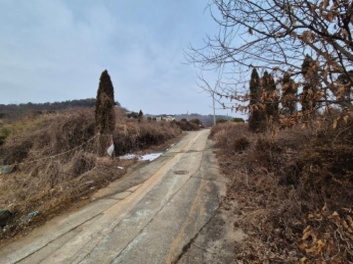 장군면 송문리 40-3 임야 경매 물건 사진