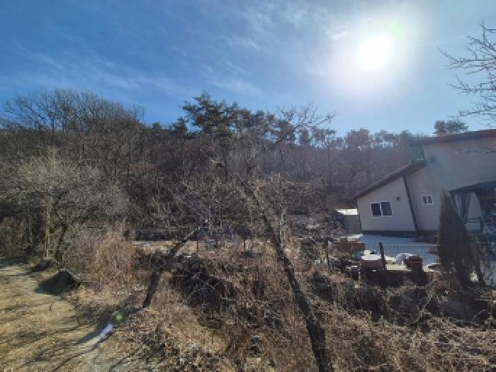 장군면 금암리 산23-22 대지,임야,전답 경매 물건 사진