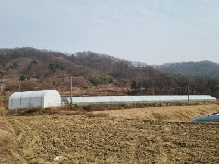 금산군 금성면 마수리 전답 경매 물건 사진