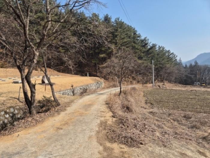 금남면 봉암리 200 대지,임야,전답 경매 물건 사진