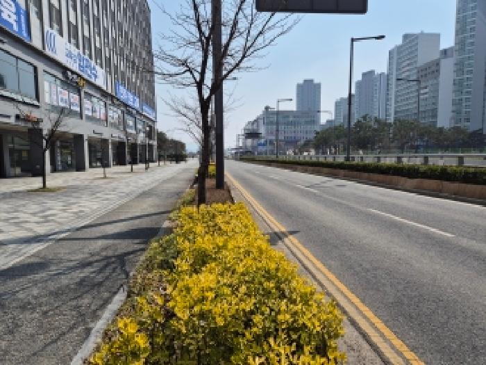 나성동 775 더리치세종의아침 상가,오피스텔,근린시설 경매 물건 사진