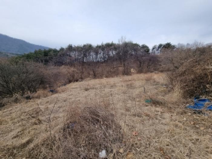 금산군 군북면 산안리 전답 경매 물건 사진
