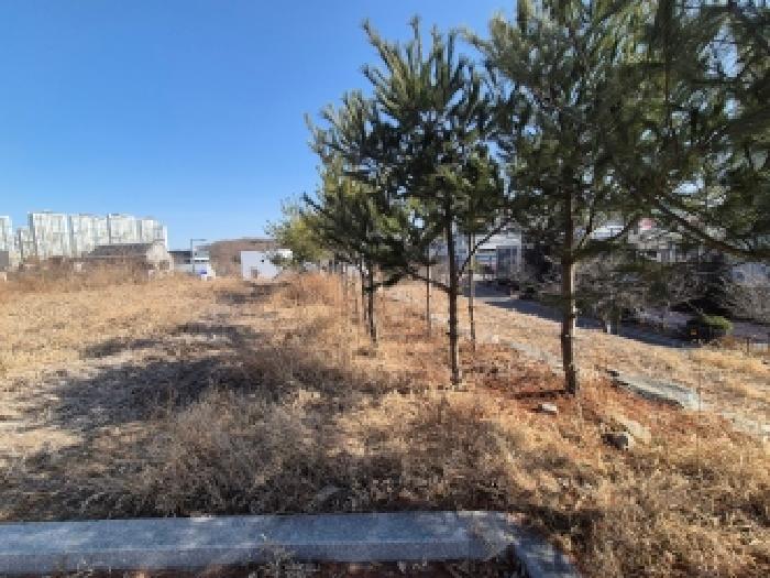 고운동 2110-28 공원 경매 물건 사진