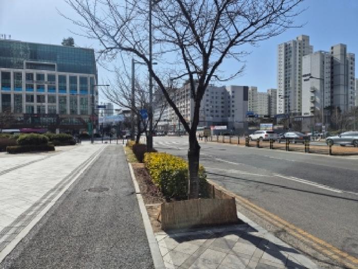 나성동 759 블루지움 근린생활시설 경매 물건 사진
