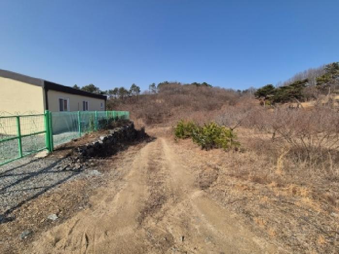장군면 대교리 233-6 대지,임야,전답 경매 물건 사진