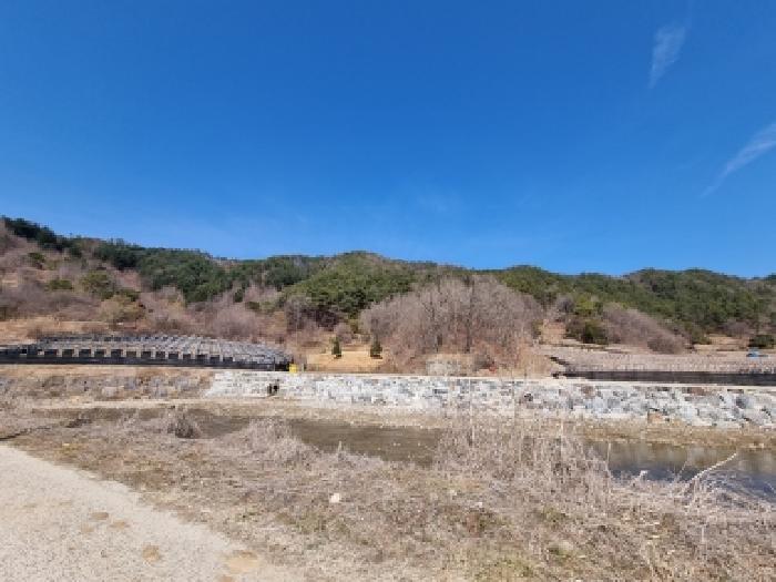 금산군 진산면 삼가리 임야 경매 물건 사진