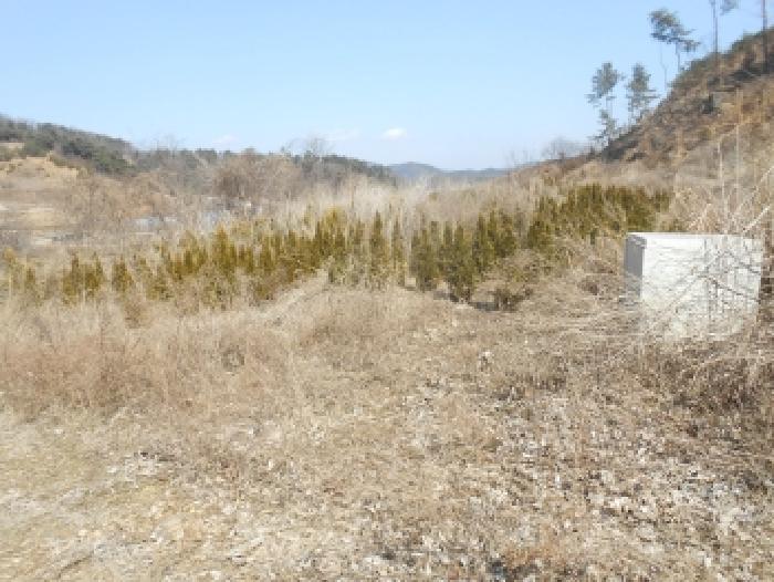 연서면 청라리 290 대지,임야,전답 경매 물건 사진