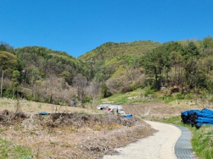 금산군 진산면 교촌리 대지,임야,전답 경매 물건 사진