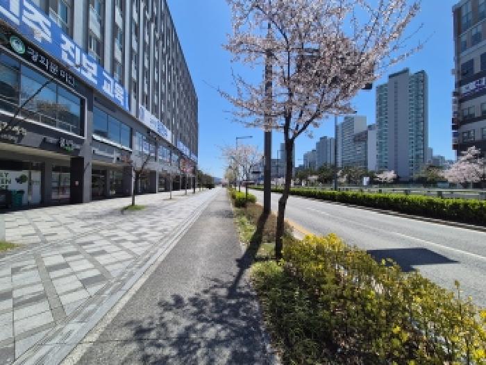 나성동 775 더리치세종의아침 상가,오피스텔,근린시설 경매 물건 사진
