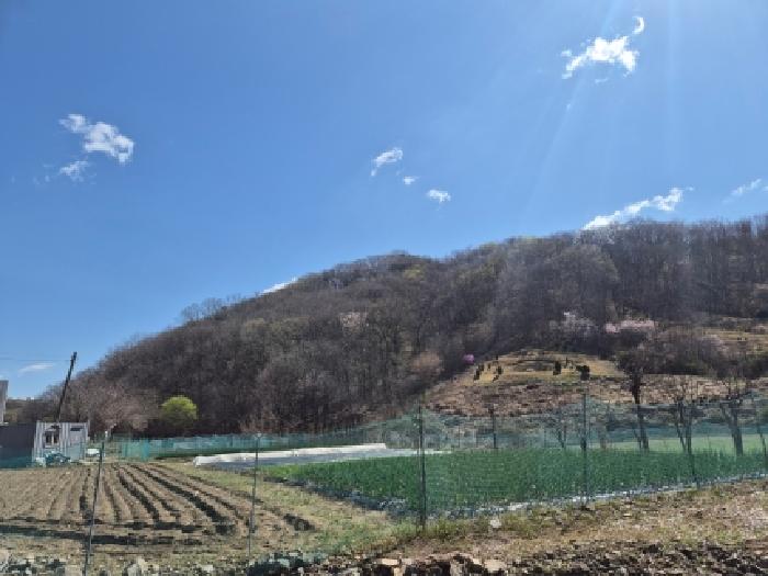 장군면 대교리 산2 대지,임야,전답 경매 물건 사진