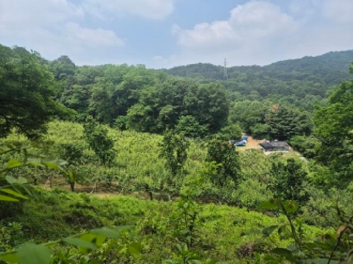 유성구 문지동 552-9 전답 경매 물건 사진