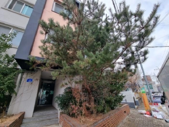 중구 부사동 401-7 단독주택 경매 물건 사진