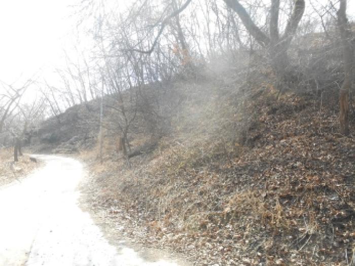 연기면 수산리 산118 임야 경매 물건 사진