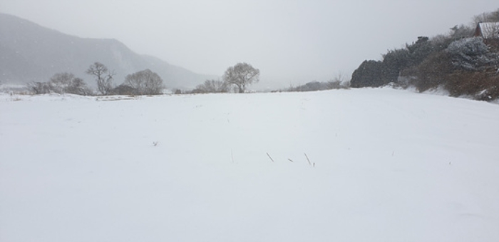 예산군 덕산면 상가리 답 경매 물건 사진