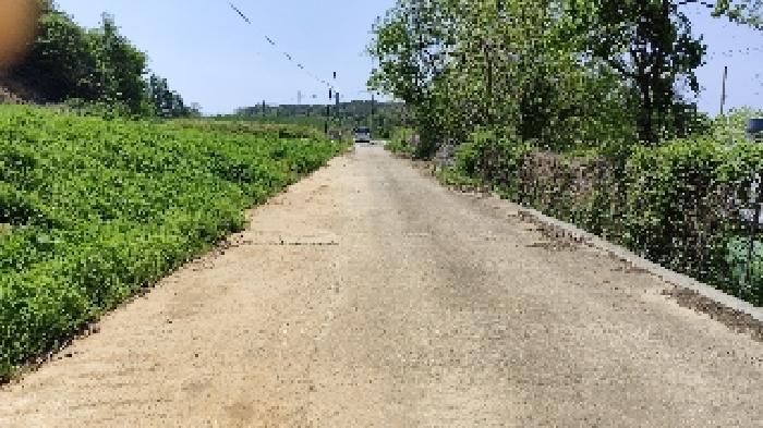홍성군 은하면 대판리 전 경매 물건 사진