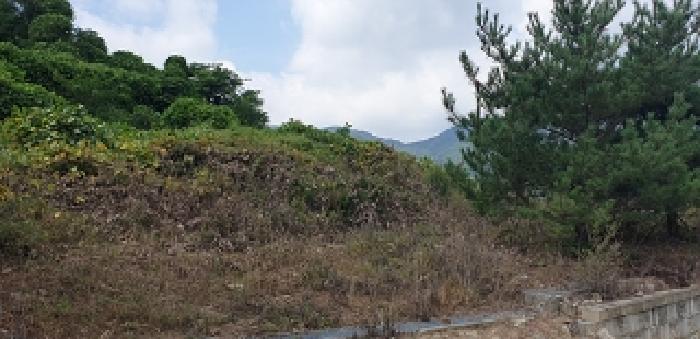 예산군 덕산면 대치리 임야 경매 물건 사진