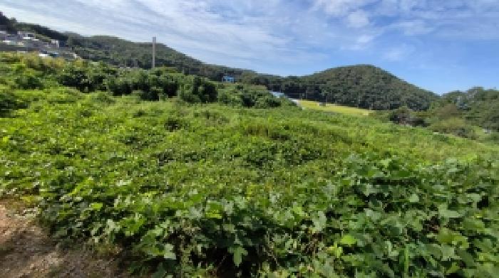 보령시 천북면 사호리 대지 경매 물건 사진