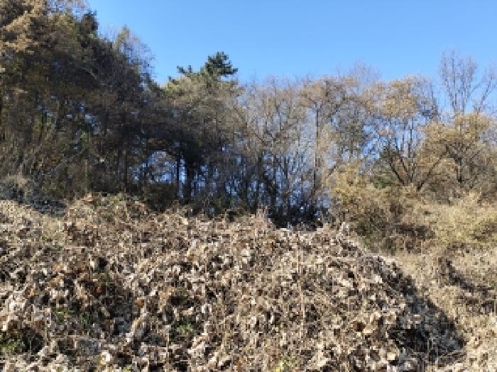 서천군 마서면 덕암리 전 경매 물건 사진