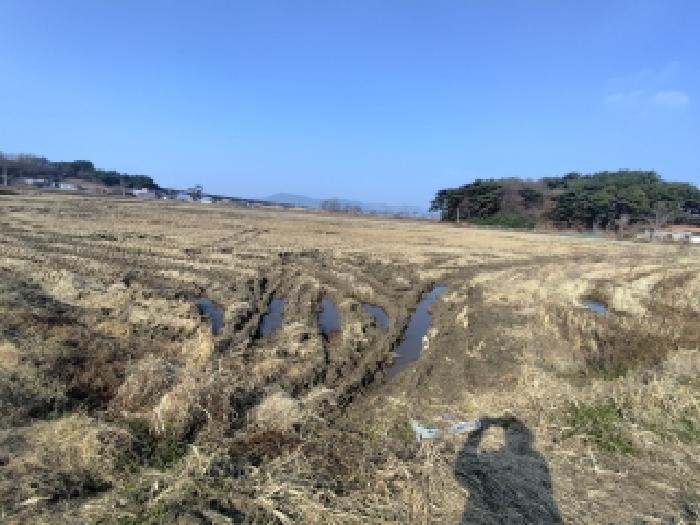 보령시 내항동 790 전답 경매 물건 사진