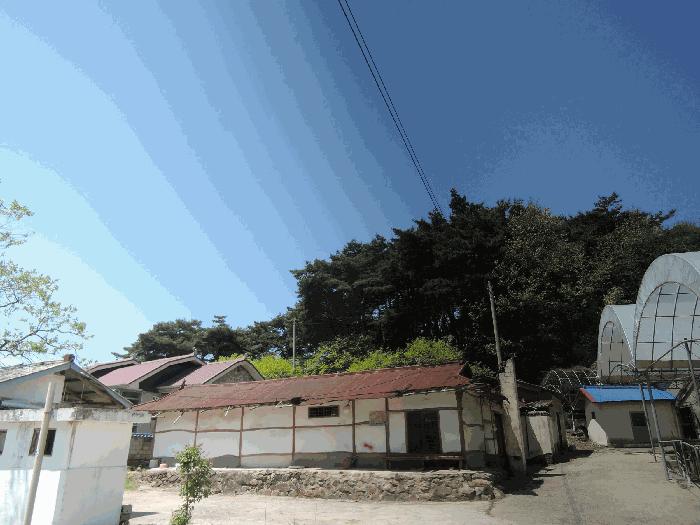 홍성군 홍북읍 노은리 임야 경매 물건 사진