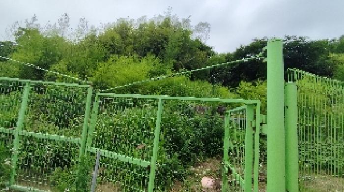 보령시 오천면 소성리 대지 경매 물건 사진