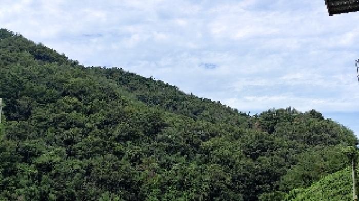 서천군 종천면 신검리 임야 경매 물건 사진