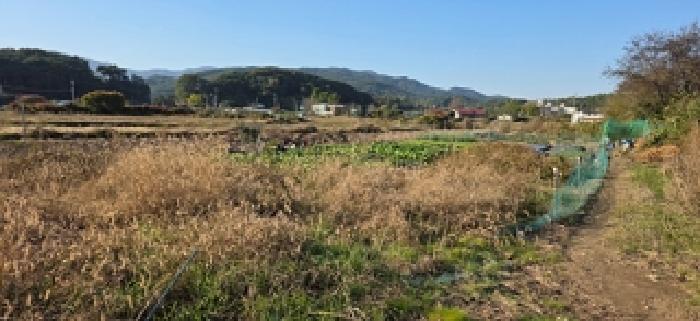 예산군 덕산면 신평리 전 경매 물건 사진