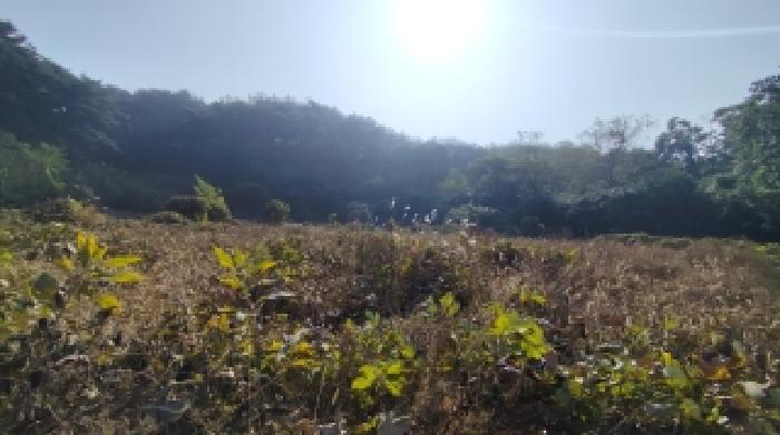 보령시 남포면 월전리 답 경매 물건 사진
