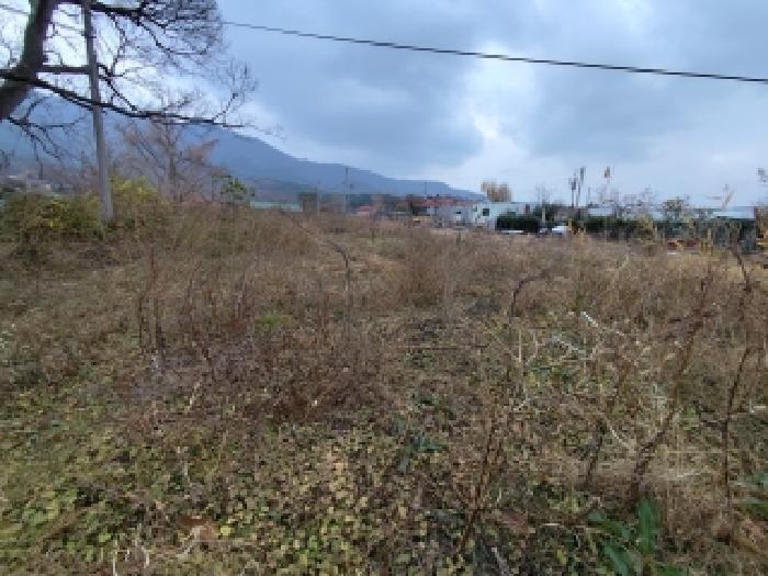 보령시 남포면 창동리 전답 경매 물건 사진