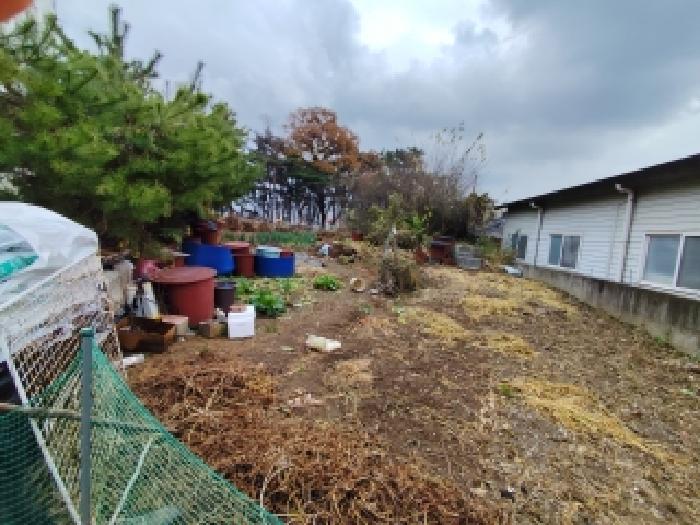 보령시 죽정동 674-14 대지,임야,전답 경매 물건 사진