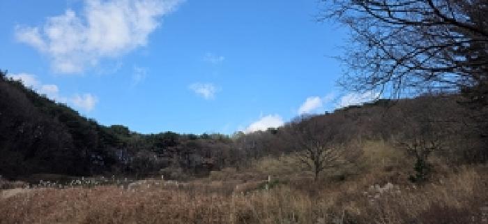 예산군 봉산면 사석리 임야 경매 물건 사진