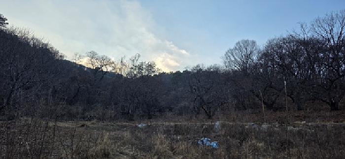 예산군 덕산면 상가리 임야 경매 물건 사진