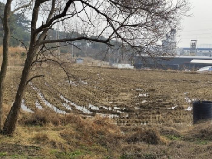 보령시 주교면 은포리 대지,임야,전답 경매 물건 사진