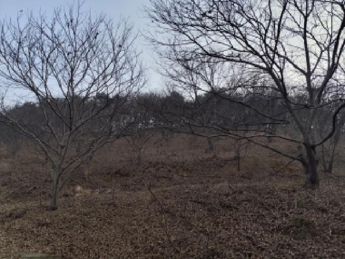 서천군 시초면 후암리 임야 경매 물건 사진