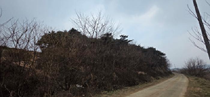 예산군 삽교읍 이리 대지,임야,전답 경매 물건 사진