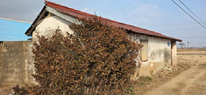 예산군 덕산면 신평리 대지,임야,전답 경매 물건 사진