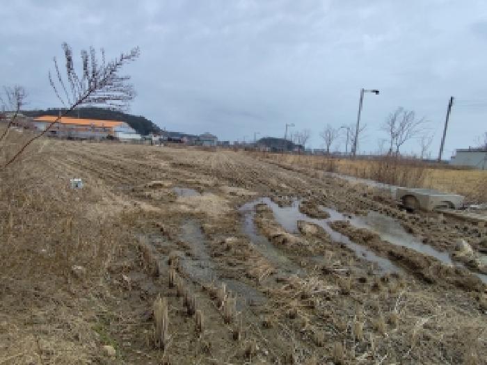 서천군 서면 도둔리 대지,임야,전답 경매 물건 사진