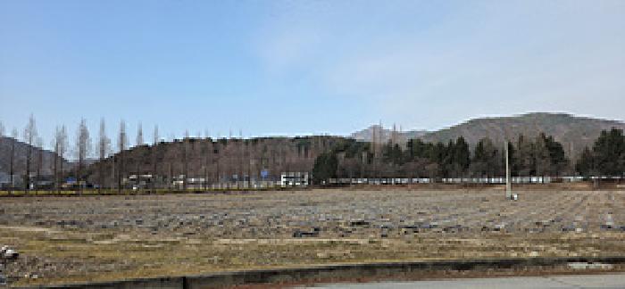 예산군 덕산면 사동리 대지 경매 물건 사진
