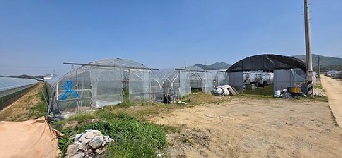 예산군 예산읍 궁평리 대지,임야,전답 경매 물건 사진