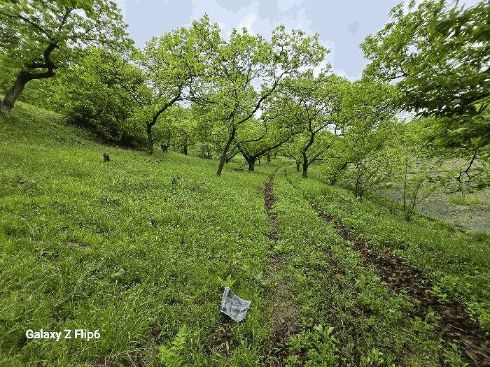 부여군 은산면 신대리 창고시설 경매 물건 사진