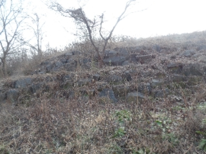 논산시 연산면 송정리 임야 경매 물건 사진