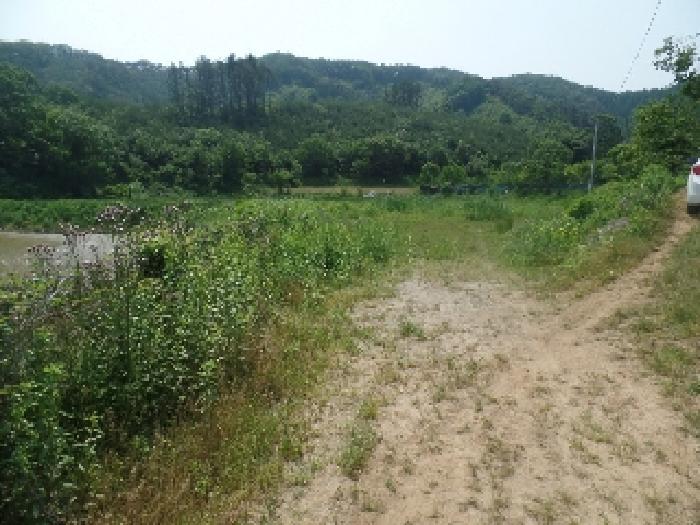 논산시 벌곡면 조동리 전 경매 물건 사진