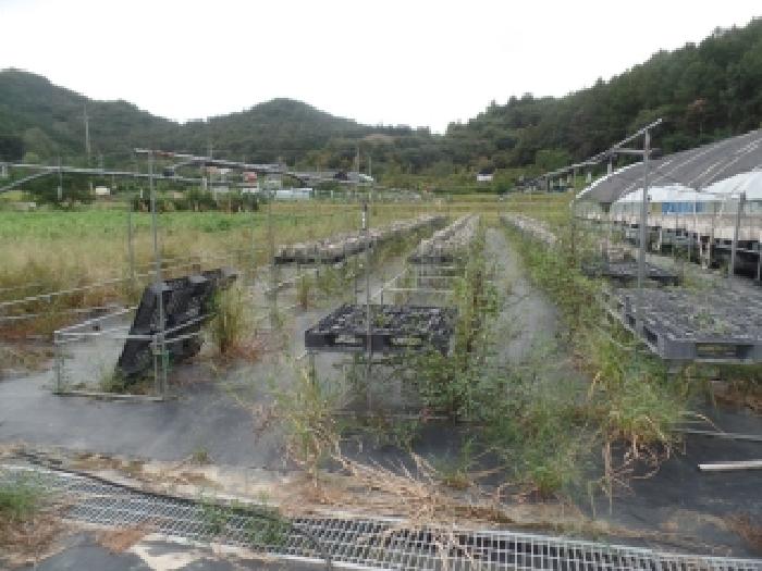 논산시 양촌면 도평리 공장/지식산업센터 경매 물건 사진