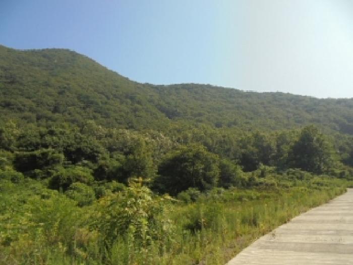 부여군 외산면 만수리 임야 경매 물건 사진